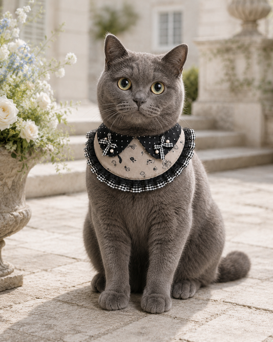 Black Polka Dot Vintage Pet Neckwear