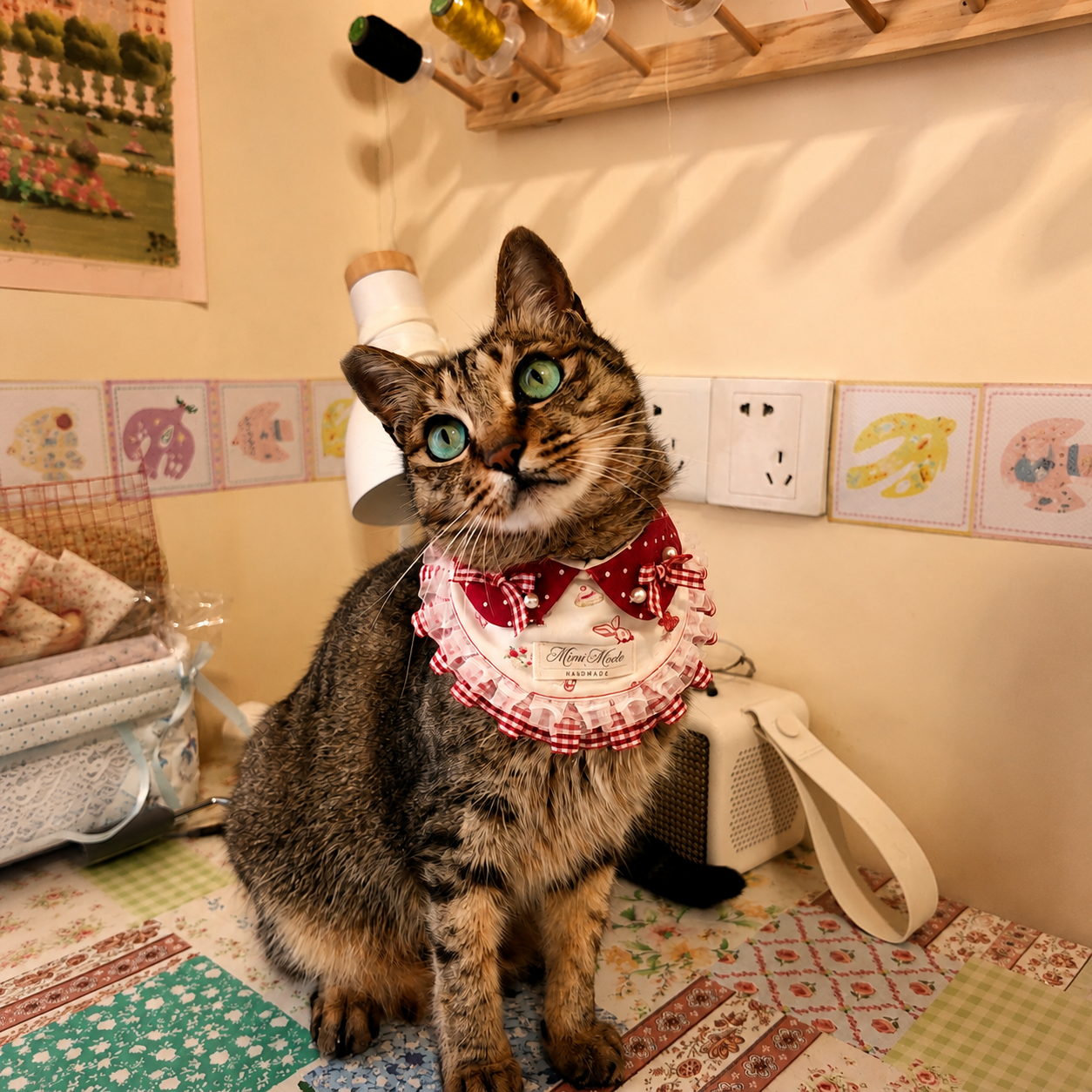 Mimi, one of the rescued cats behind mimi mode