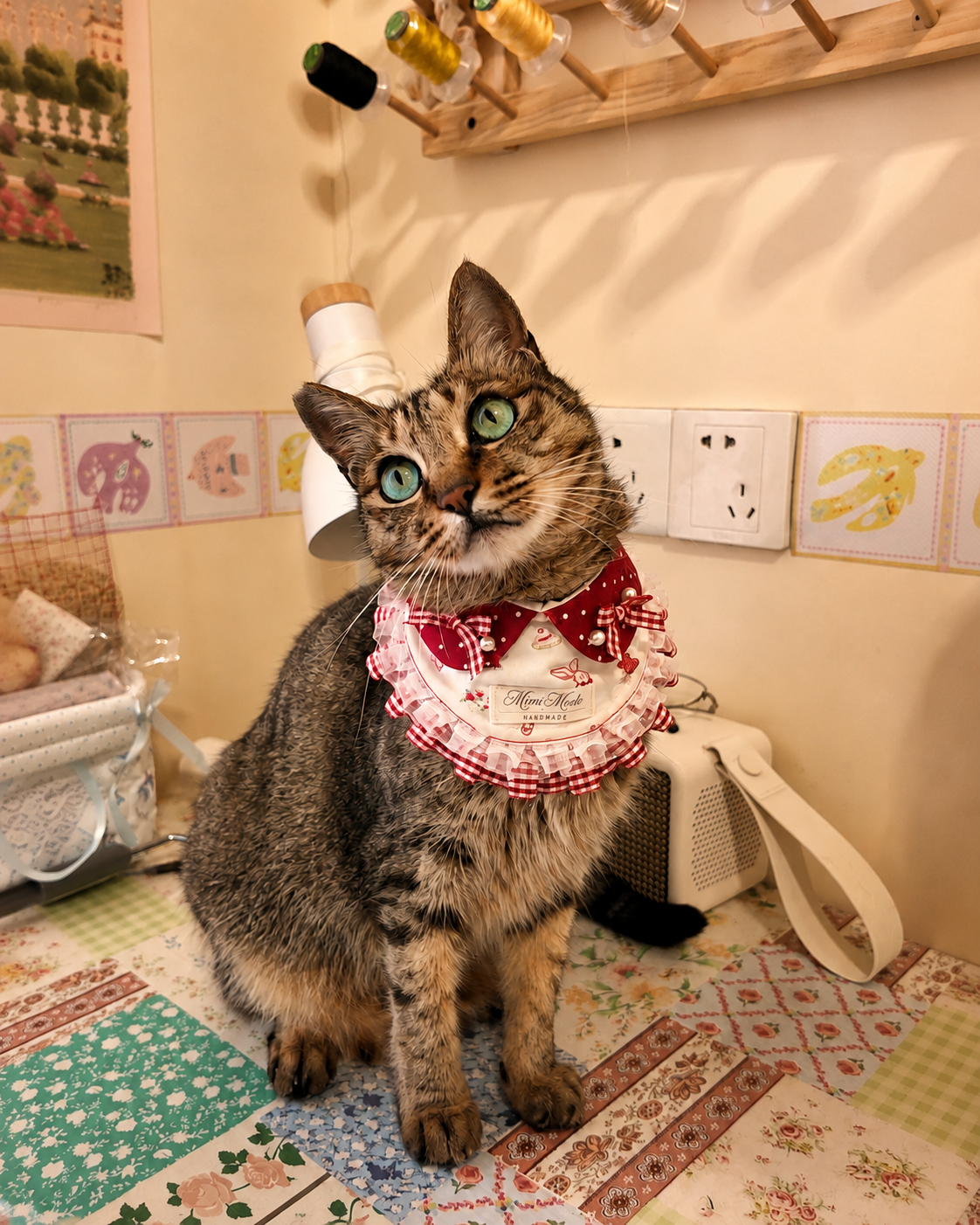 Our Furry Muse